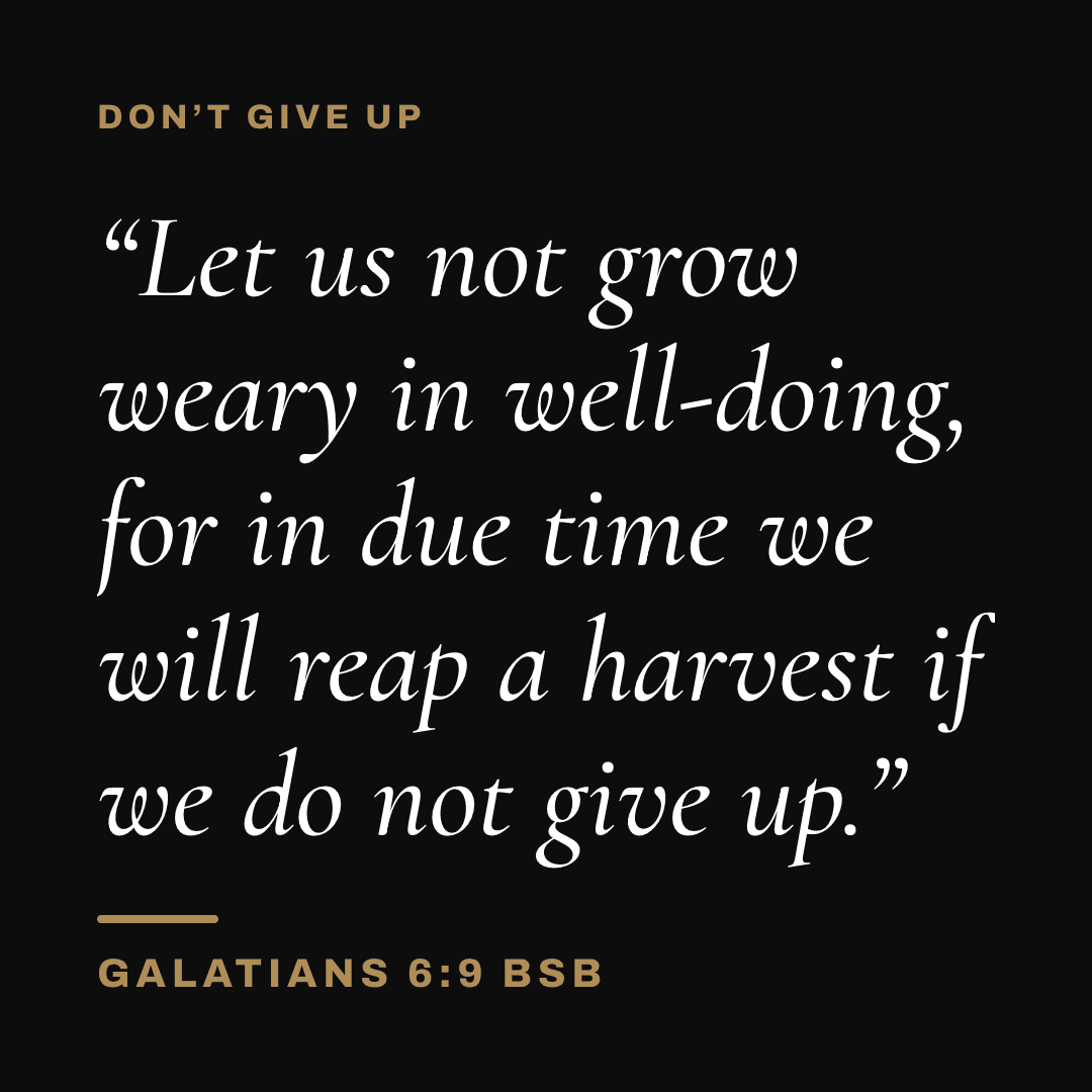 Graphic with Galatians 6:9 (BSB): "Let us not grow weary in well-doing, for in due time we will reap a harvest if we do not give up." Label: Don't give up.