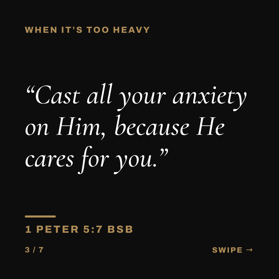 Slide 3 of 7